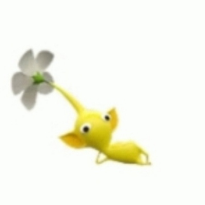 NAlic@brain.worm.pink